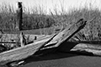 What Remains 26